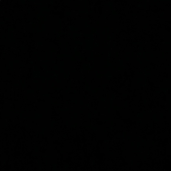 Meet your Posher, Ali - Picture 1 of 1